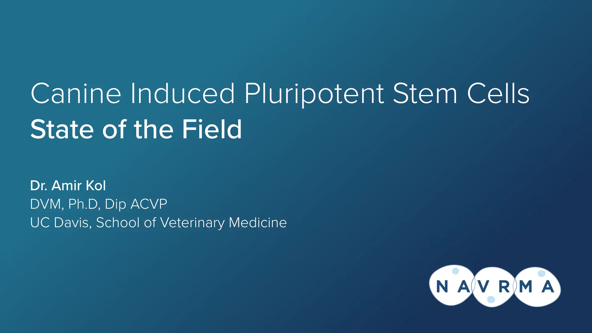 stem cell